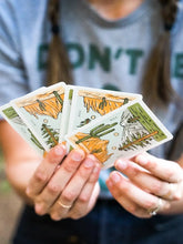Wild Playing Cards