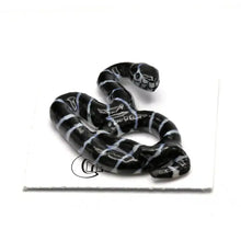 King Snake Porcelain Miniature