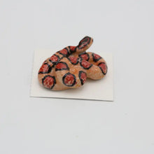 Checkers Corn Snake Porcelain Miniature