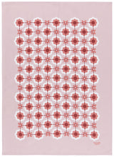 Paseo Set of 2 Swedish Dishcloth & Dishtowel