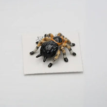 Tarantula Porcelain Miniature
