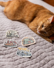 Toadstool Tabby Sticker