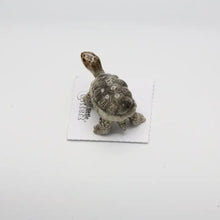Darwin Galapagos Tortoise Porcelain Miniature