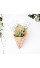 Ceramic Cone Wall Planters (No-Plant Multiple Colors)