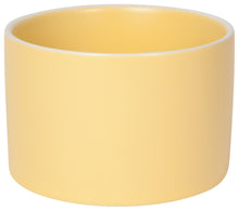 Butter Crocks (Multiple Color Options)