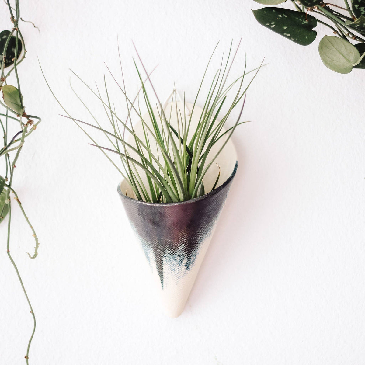 ceramic plant hanger Ceramic Cone Wall Planters (No-Plant Multiple Colors) – Curiosity