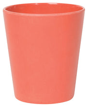 Ecologie Sustainable Cups