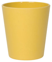 Ecologie Sustainable Cups
