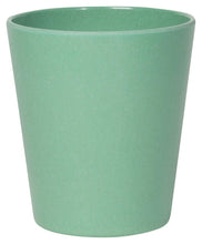 Ecologie Sustainable Cups