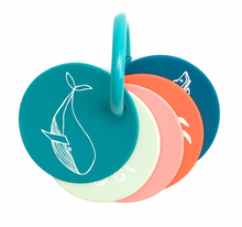 Silicone Teething Flashcards (Assorted Styles)