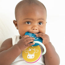 Silicone Teething Flashcards (Assorted Styles)