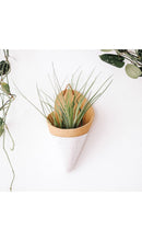 Ceramic Cone Wall Planters (No-Plant Multiple Colors)