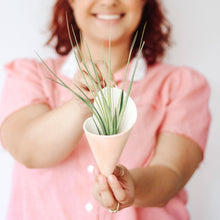 Ceramic Cone Wall Planters (No-Plant Multiple Colors)