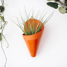 Ceramic Cone Wall Planters (No-Plant Multiple Colors)