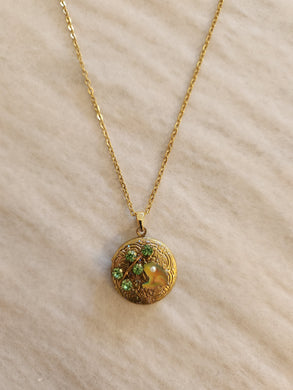Cosette Vintage Crystal Frog Locket Necklace