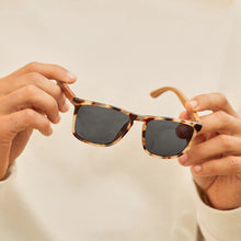Cail - Matte Ivory Tortoise / Walnut Wood / Smoke Sunglasses