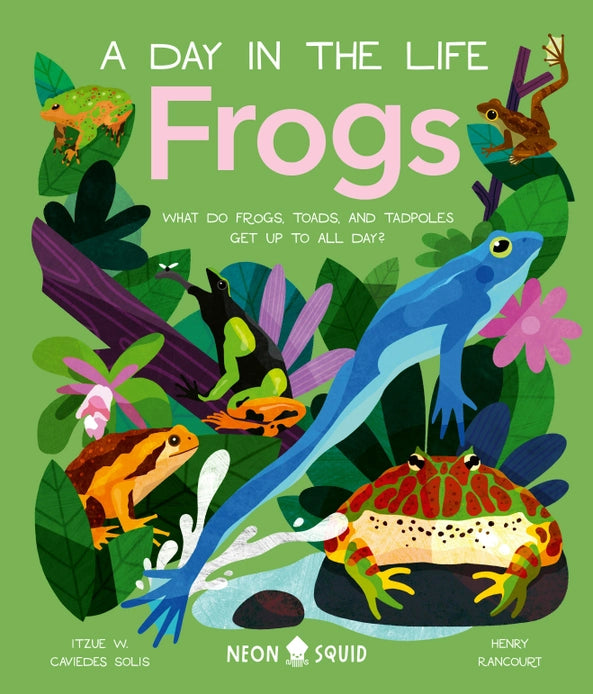 Frogs Daily Life of Frogs, Toads, and Tadpoles