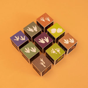Dinosaur Wood Blocks