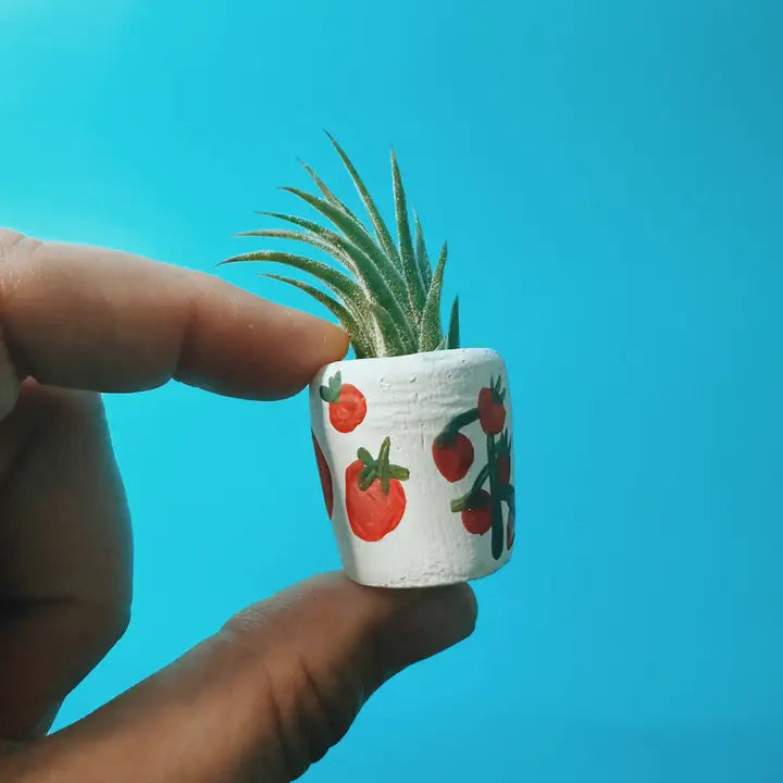 Tomato Mini Planter