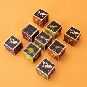 Dinosaur Wood Blocks