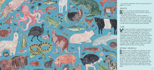 Markets: A World To Discover (Children's Book)