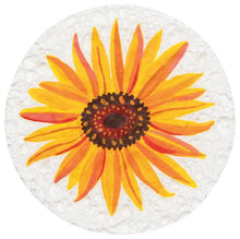 Round & Shaped Compostable Sponges (Multiple Styles)