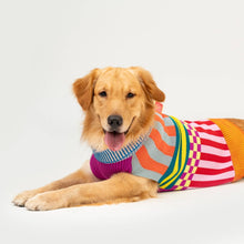 Pattern Patch Dog Sweater (Multiple Colors & Sizes)