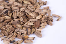 Purple Coneflower (Echinacea) Seed Packets