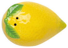 Citrus Burst Salt & Pepper Shaker Set