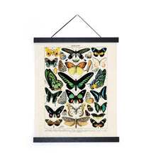 Vintage Millot Butterfly 1 Print