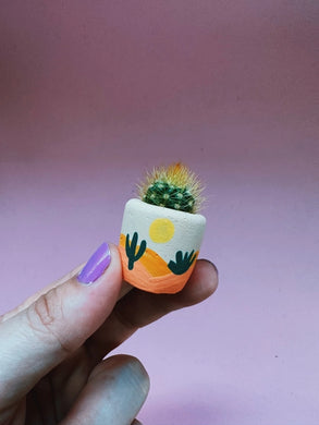 Desert Pot w/ Cactus Mini Planter