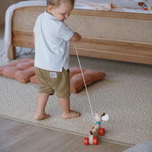 Happy Puppy Pull-Along Toy