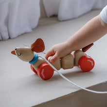 Happy Puppy Pull-Along Toy