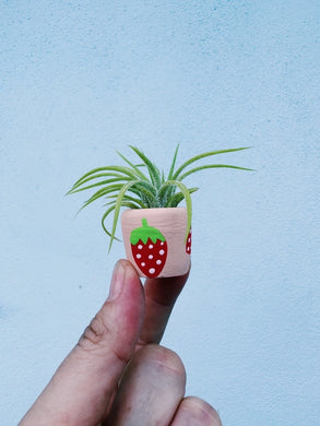 Berry Cute Mini Planter