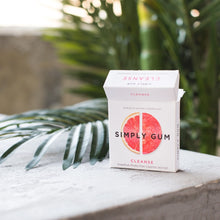 Simply Gum - Natural + Plastic Free Chewing Gum (Multiple Flavors)