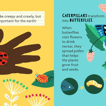 Bathtub Genius: Let's Learn About Bugs