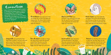 Sneak! Slide & See Board Book