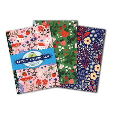 Little Notebook Set (Set of 3)