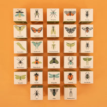 Wooden Bug Blocks