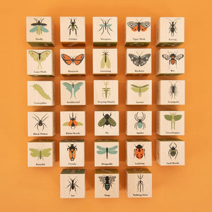 Wooden Bug Blocks