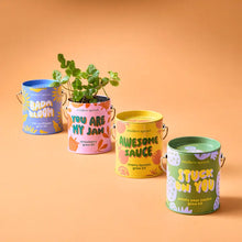 Complimentary Color Plant Growing Kits