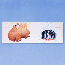 Hello Hello Opposites