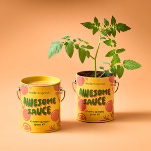 Complimentary Color Plant Growing Kits