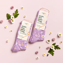 Socks That Plant Trees (Lavender Daisies)
