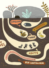 The Bug Club