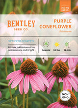 Purple Coneflower (Echinacea) Seed Packets