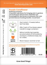 Purple Coneflower (Echinacea) Seed Packets