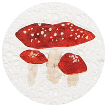 Round & Shaped Compostable Sponges (Multiple Styles)