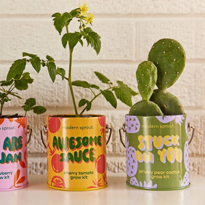 Complimentary Color Plant Growing Kits