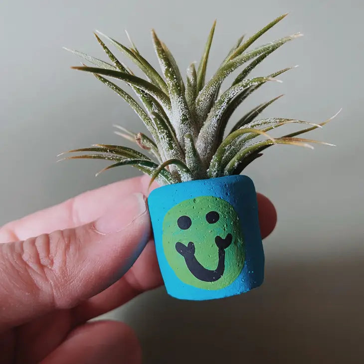 Blue Smiley Mini Planter